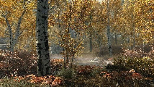 87696b59077f3645fb63686be0c7274b