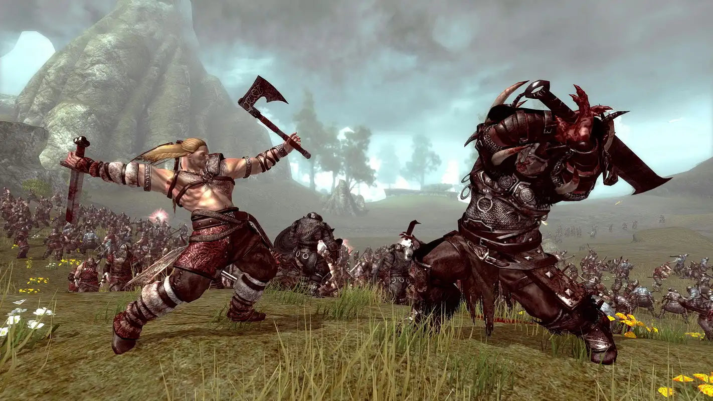 PS3 - Viking: Battle for Asgard - gebraucht